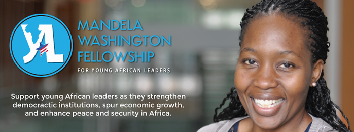 Support the Mandela washington fellowship